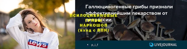 винт Алексин