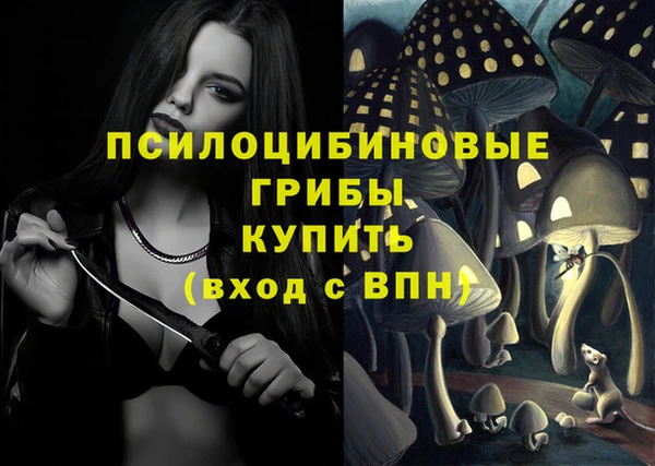 винт Алексин