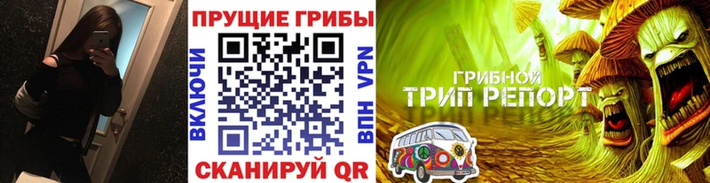 Галлюциногенные грибы Psilocybine cubensis  hydra ONION  Сарапул 